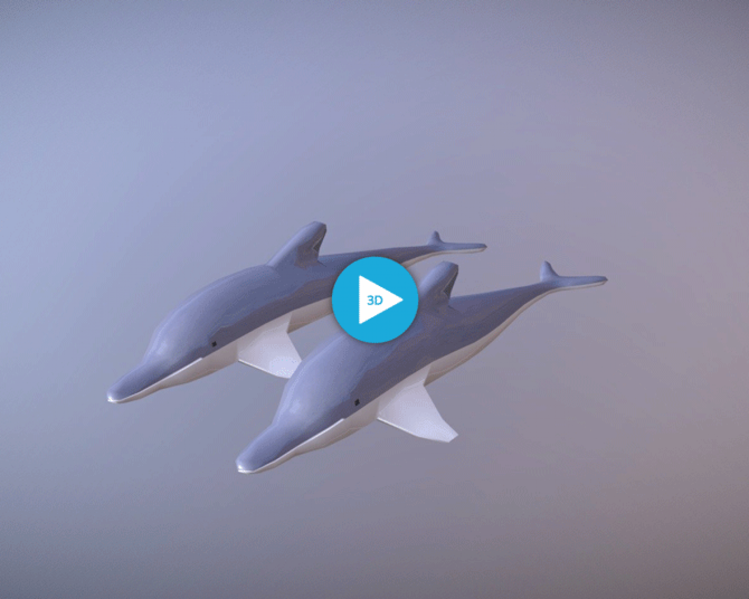 Dolphin